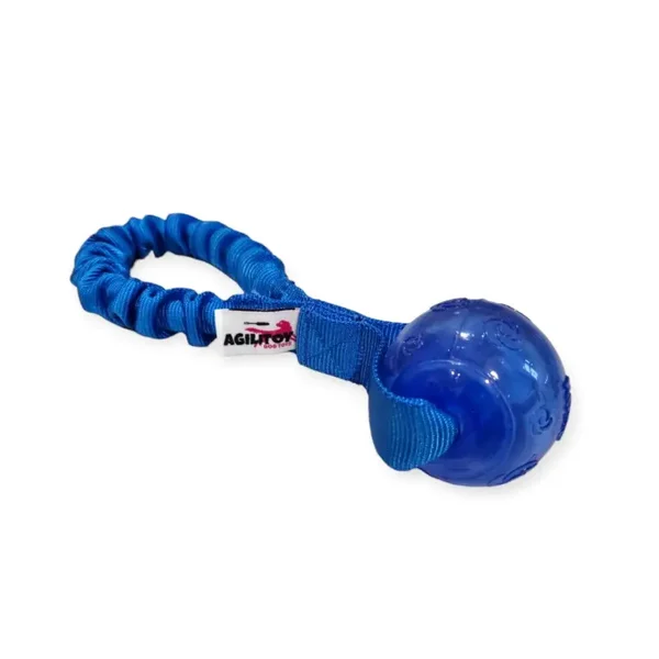 Agilitoy Tugtoy Squeeze Short