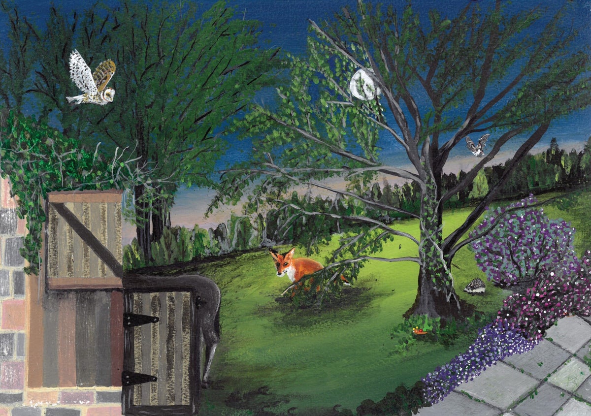 Hilary Love Illustrator