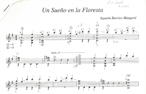 Sueno en la Floresta - Augustin Barrios Mangoré