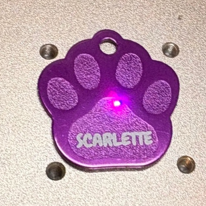Médaille personnalisée animal