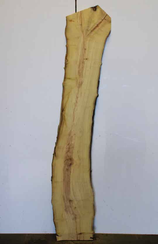 Boomstam plank Acacia 141