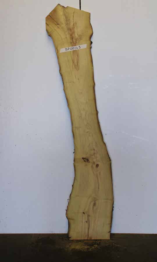 Boomstam plank Acacia 143
