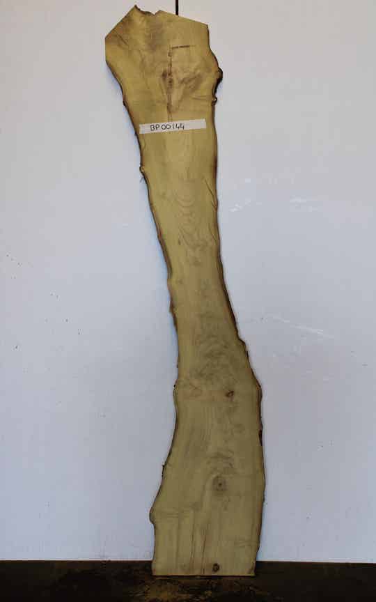 Boomstam plank Acacia 144