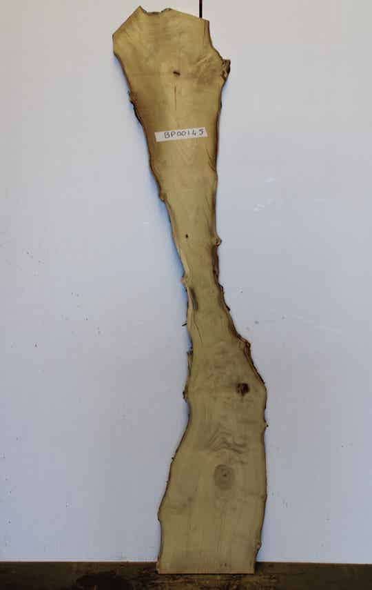 Boomstam plank Acacia 145