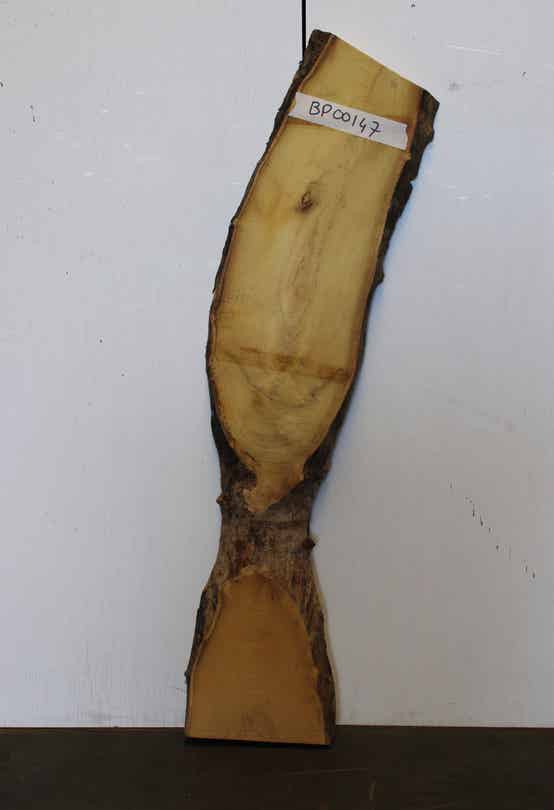 Boomstam plank Acacia 147