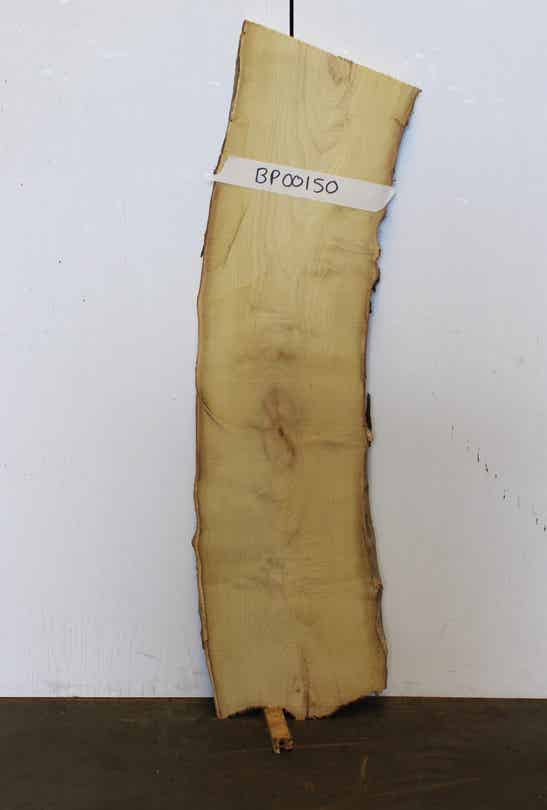 Boomstam plank Acacia 150