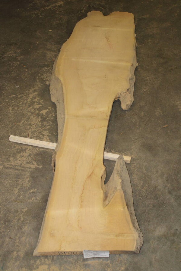 Boomstam plank Acacia 218