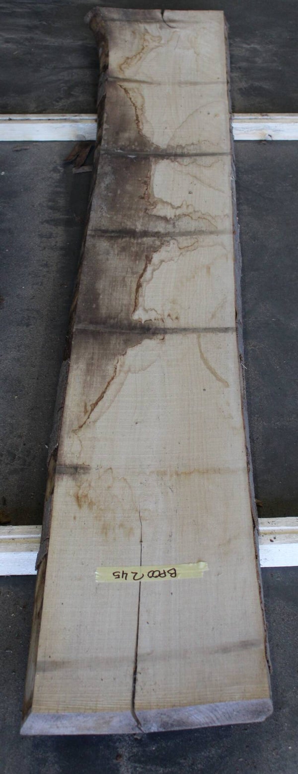 Boomstam plank Beuk 245