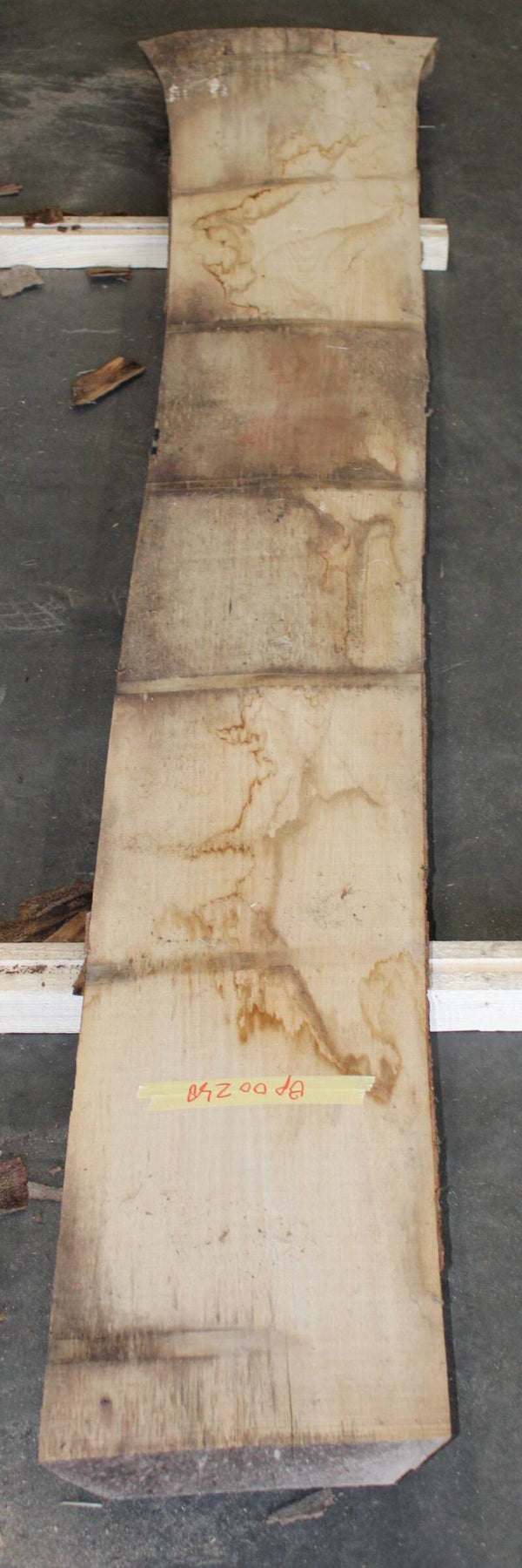 Boomstam plank Beuk 248