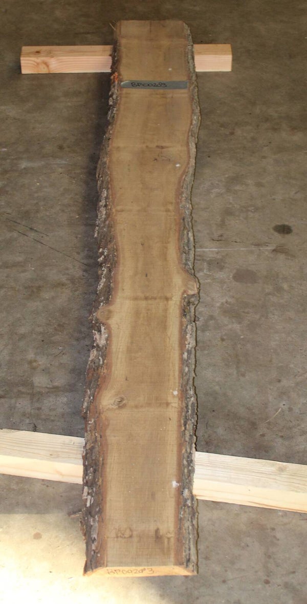Boomstam plank Eiken 283