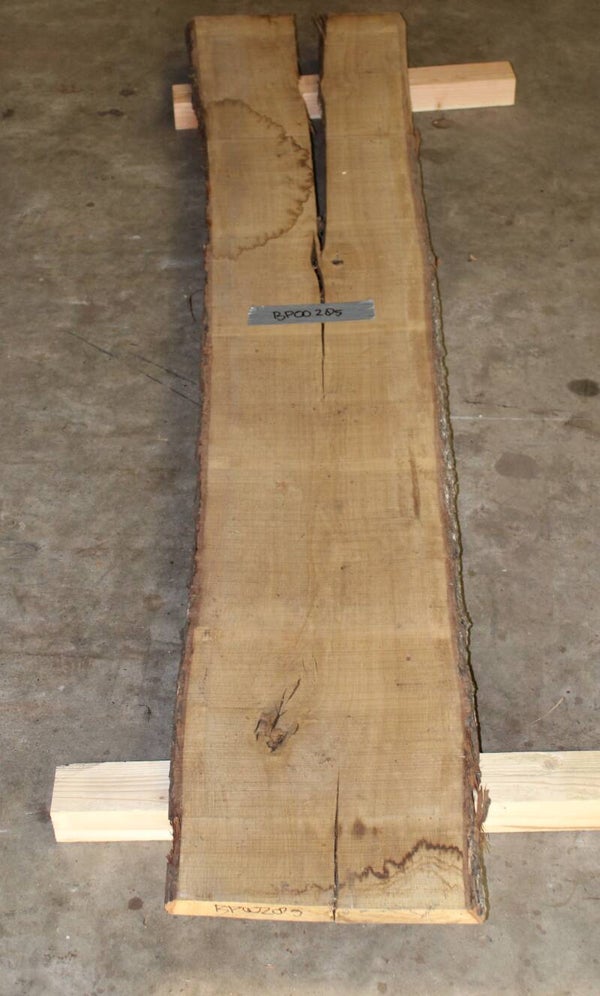 Boomstam plank Eiken 285