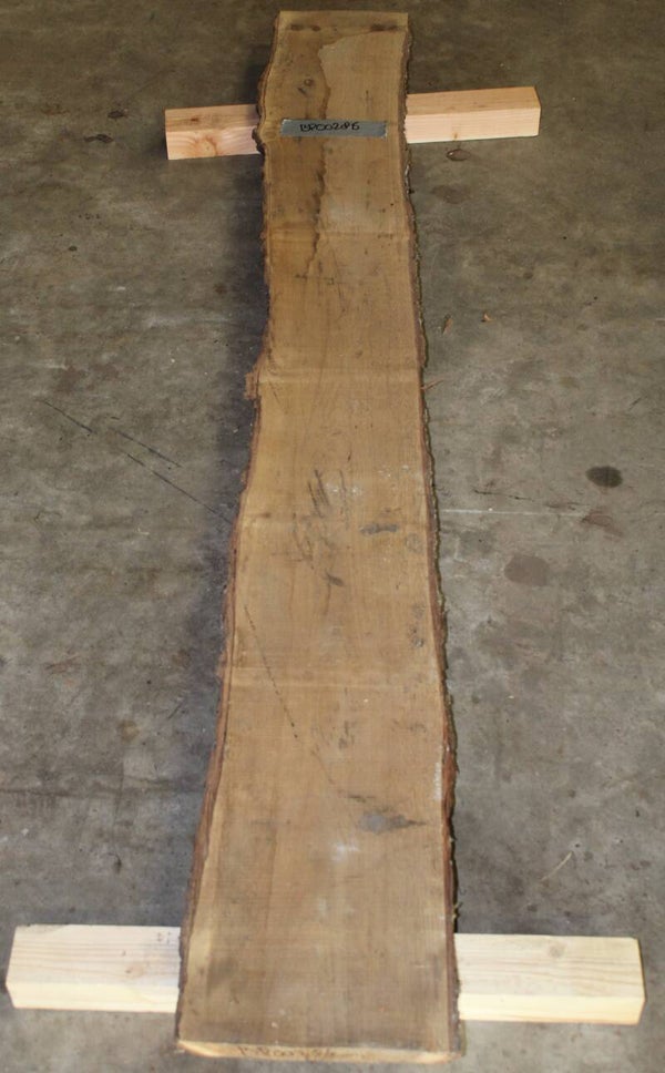 Boomstam plank Eiken 286