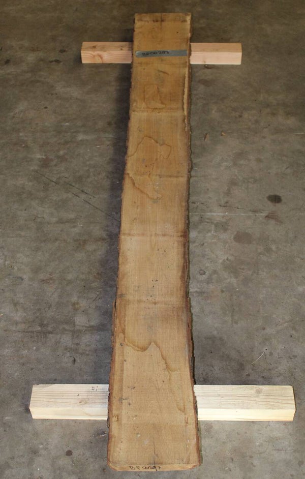 Boomstam plank Eiken 287