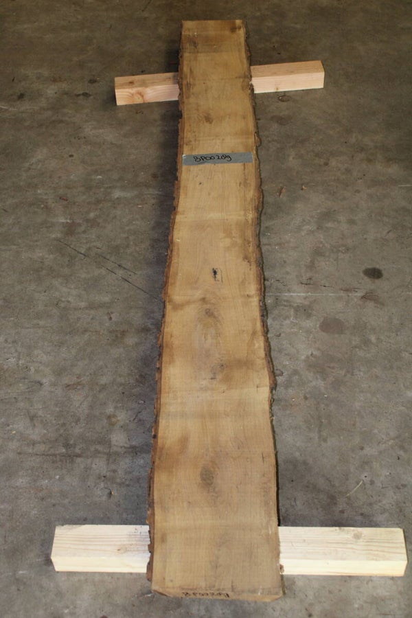 Boomstam plank Eiken 289