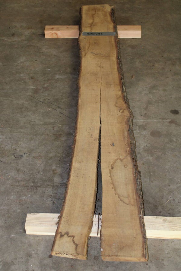 Boomstam plank Eiken 293