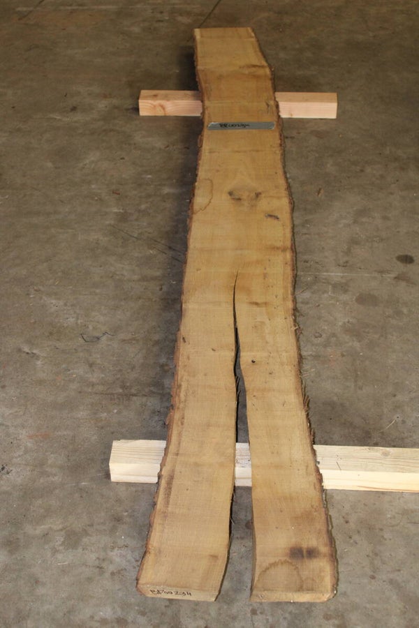 Boomstam plank Eiken 294
