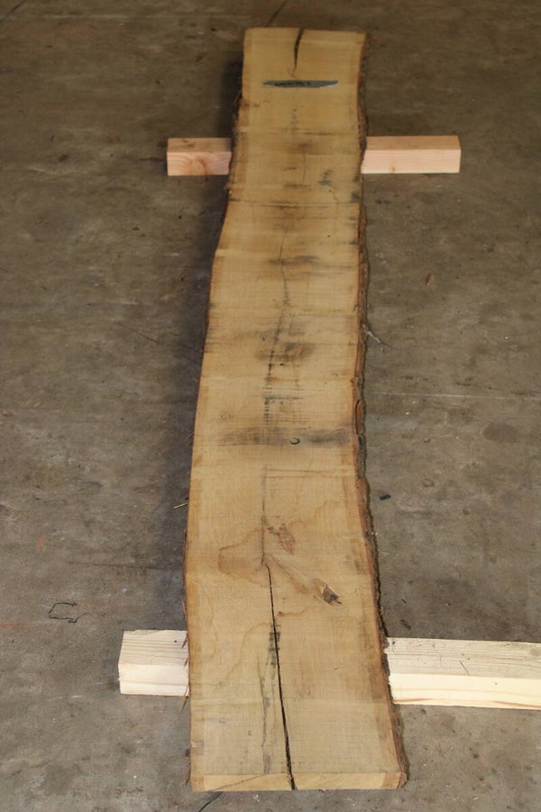 Boomstam plank Eiken 297