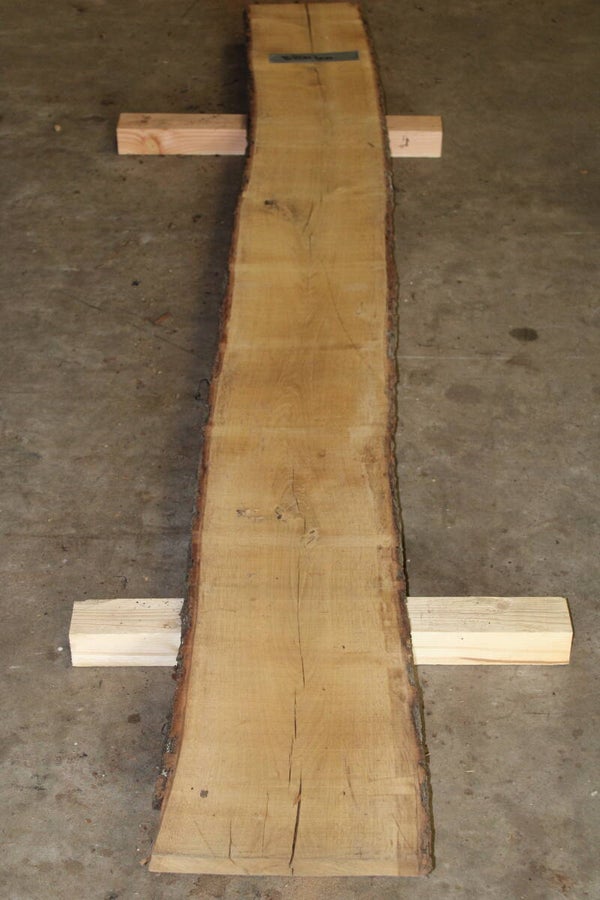 Boomstam plank Eiken 300