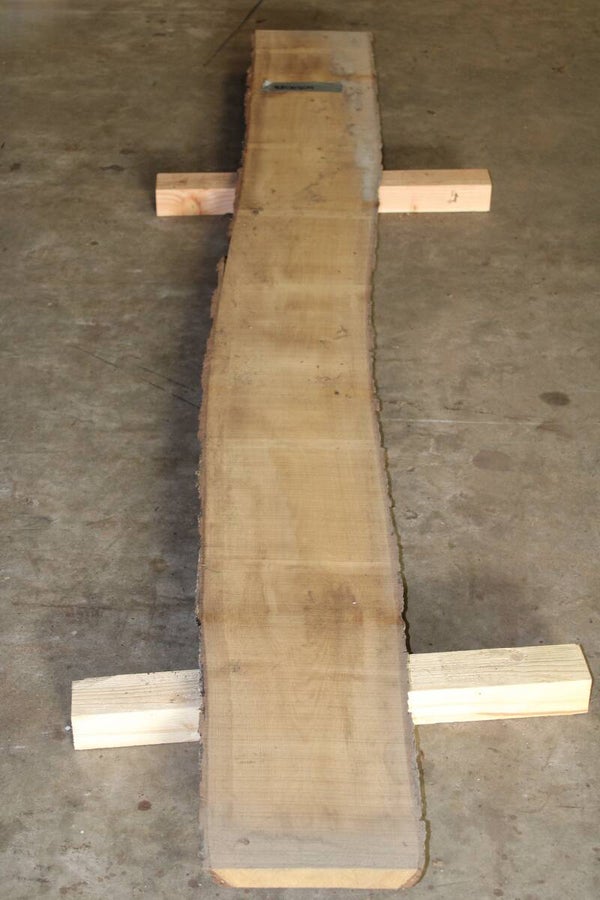Boomstam plank Eiken 304