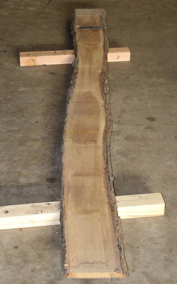 Boomstam plank Eiken 306