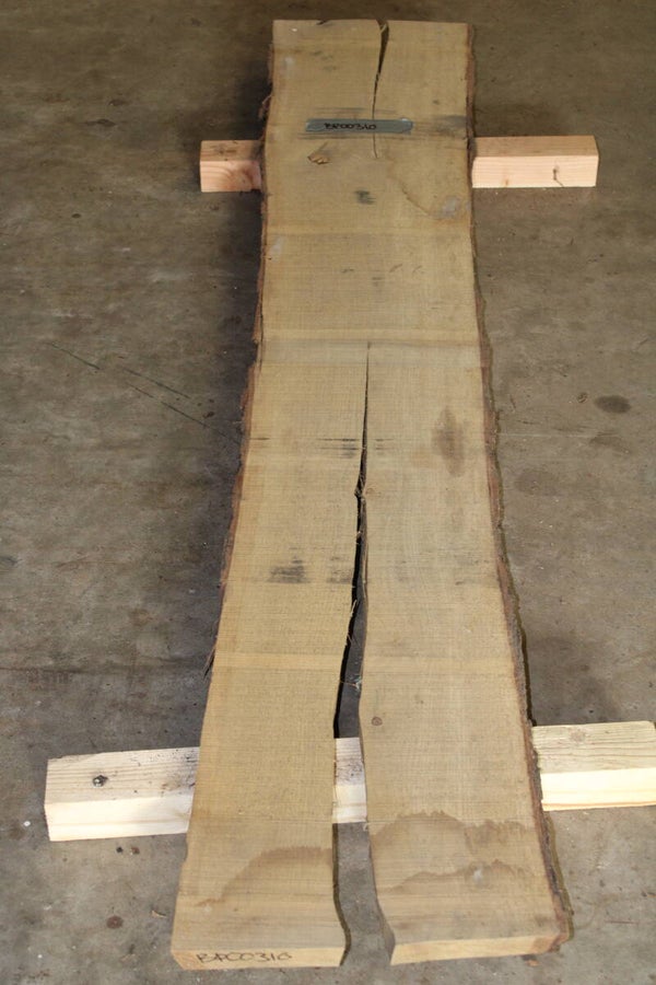 Boomstam plank Eiken 310