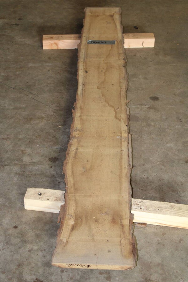 Boomstam plank Eiken 317