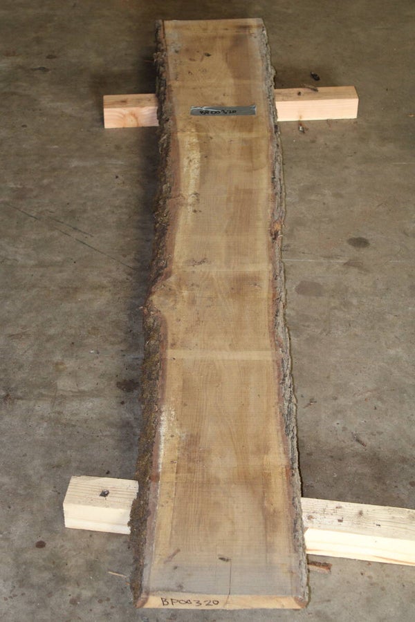 Boomstam plank Eiken 320