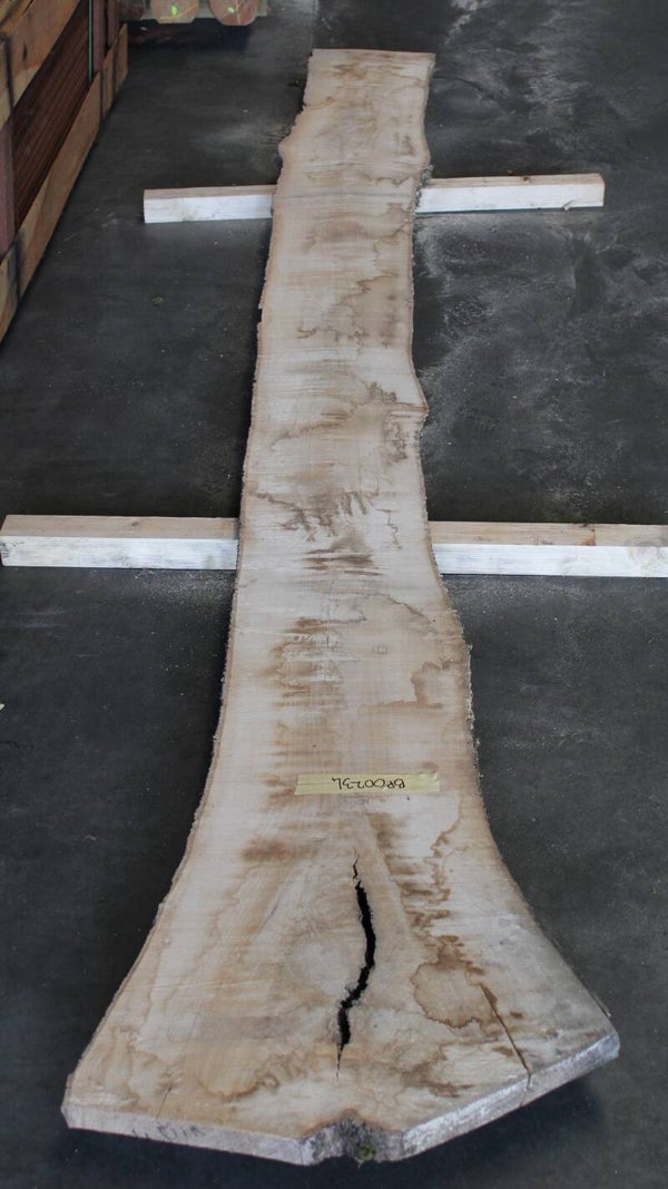 Boomstam plank Es 234