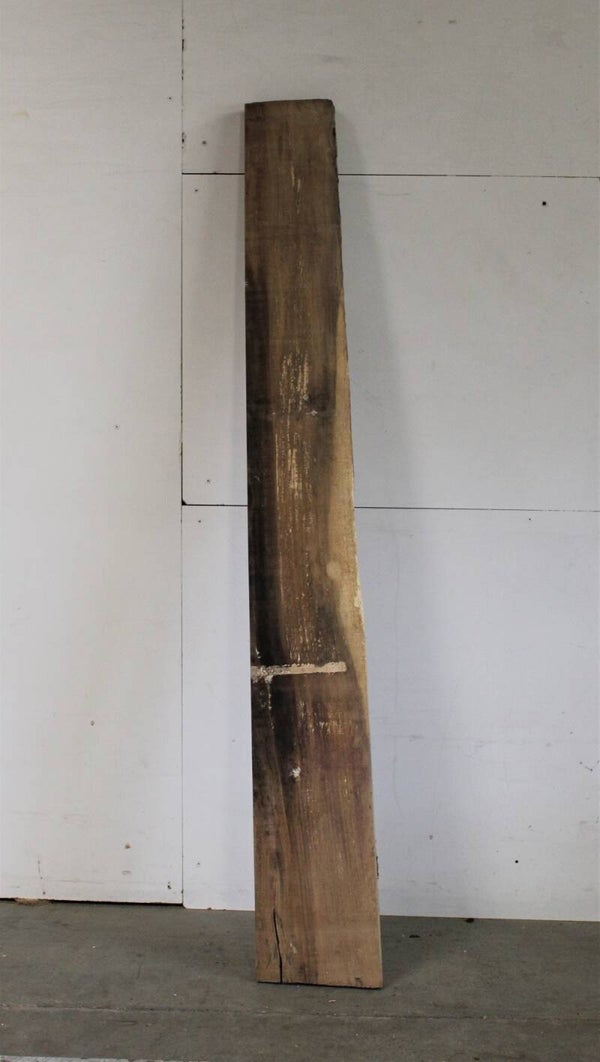 Boomstam plank Onbekend - Iep 87