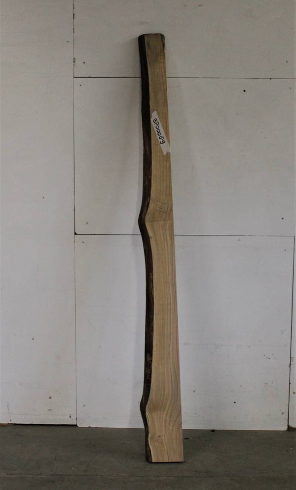 Boomstam plank Iep 89