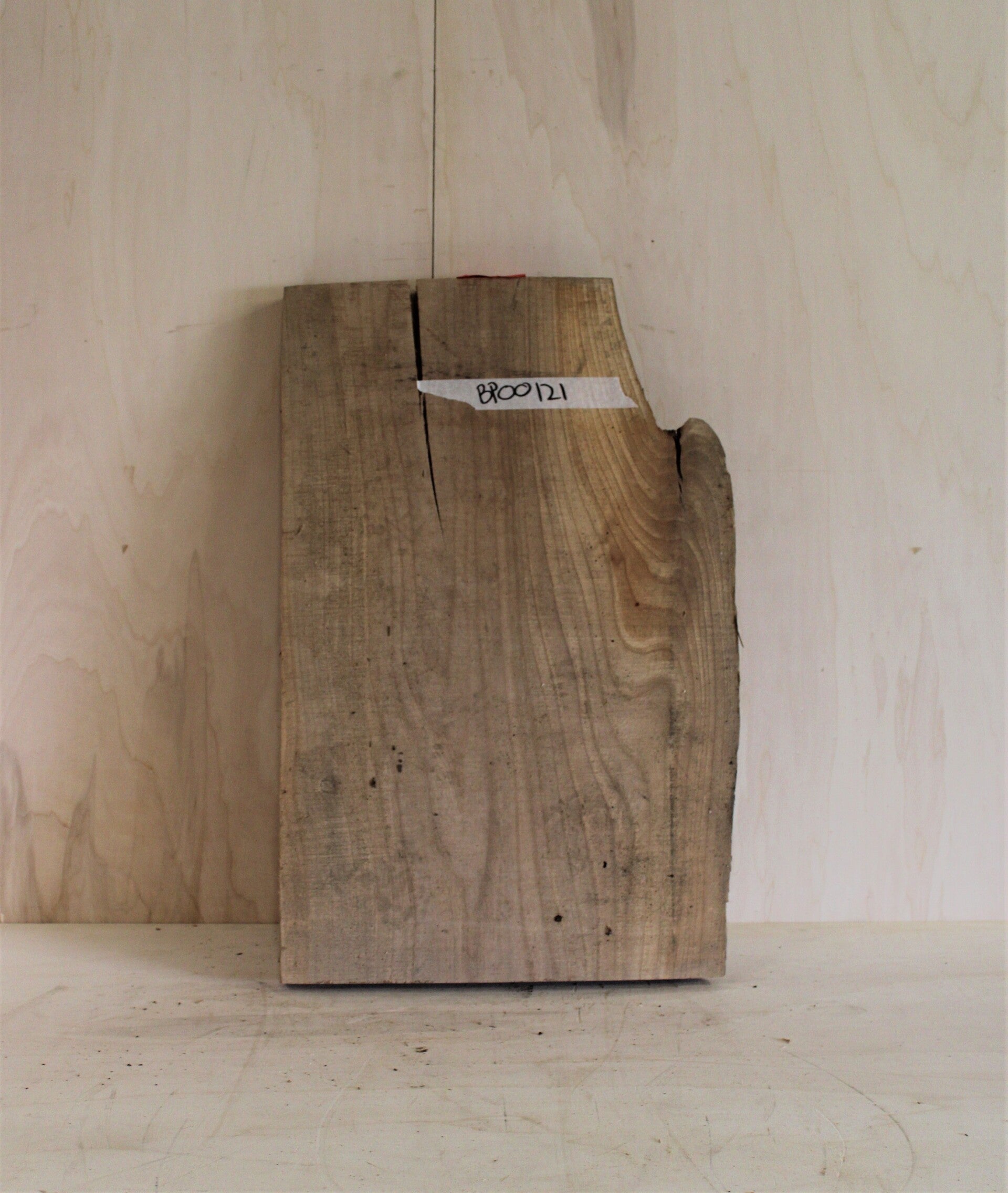 Boomstam plank Iep 121