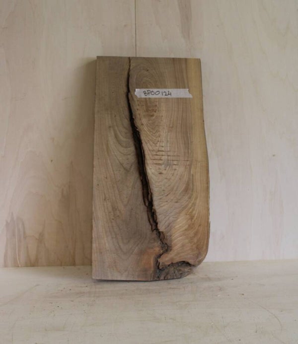 Boomstam plank Iep 124