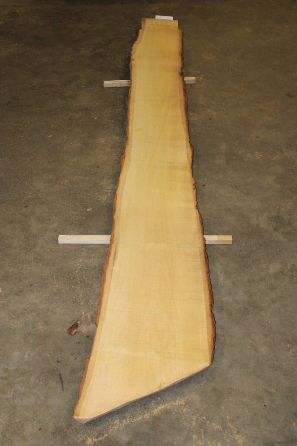 Boomstam plank Linde 188