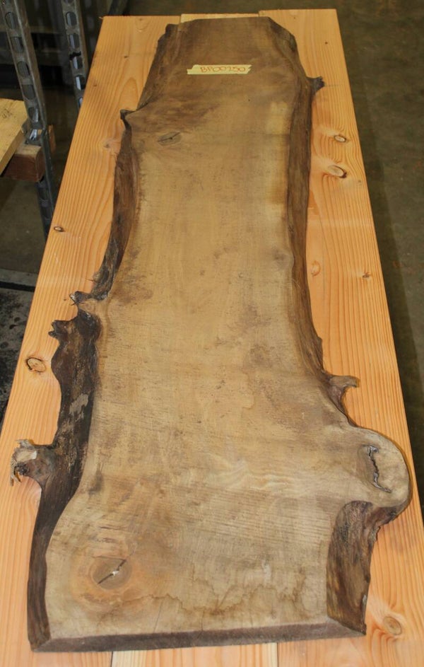 Boomstam plank Noot 250