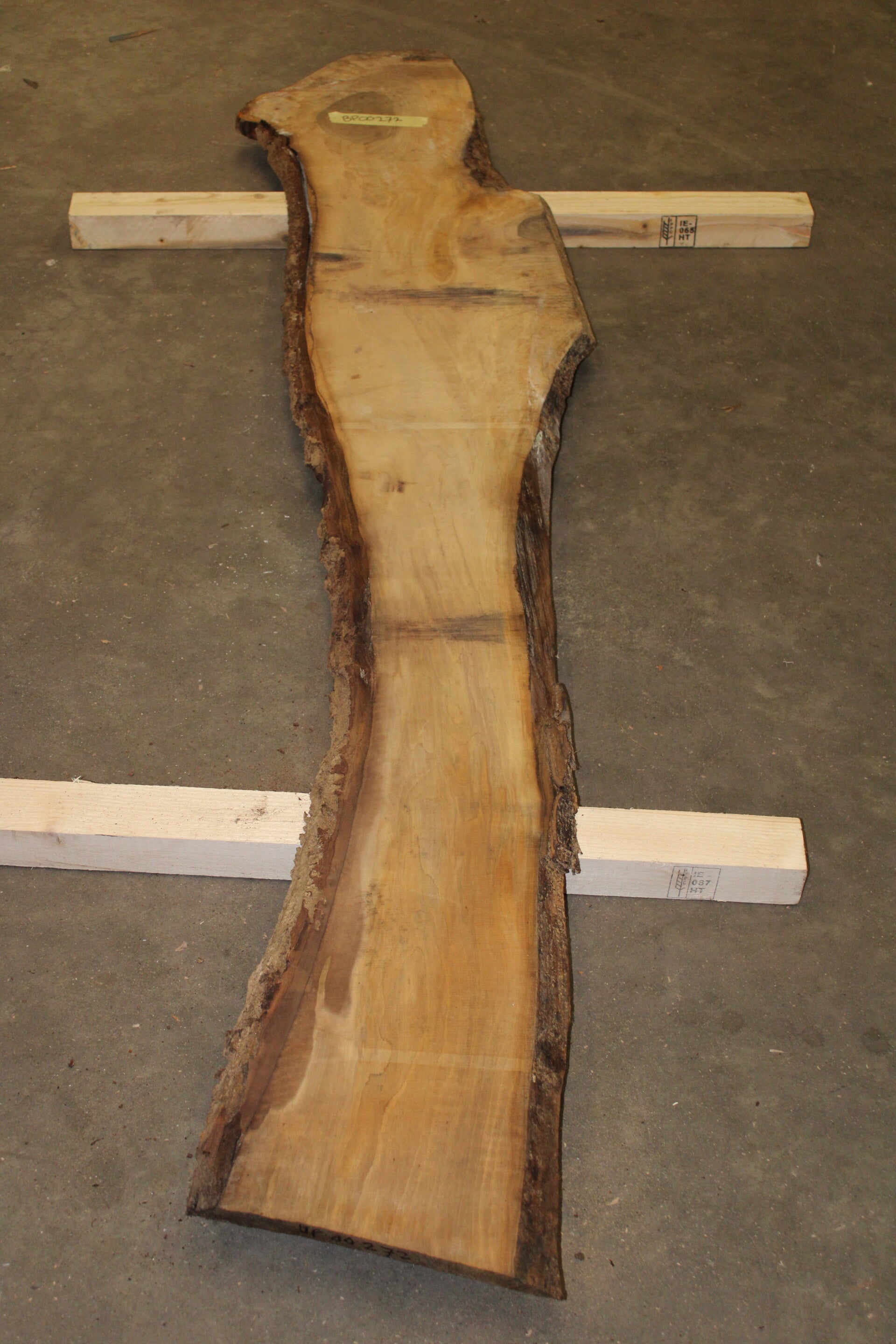 Boomstam plank Noten 272