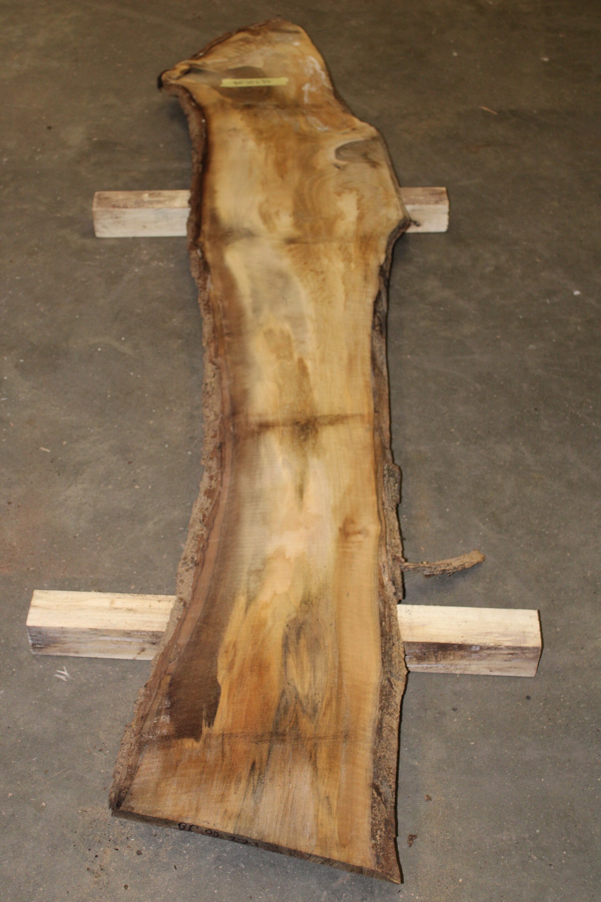 Boomstam plank Noten 273