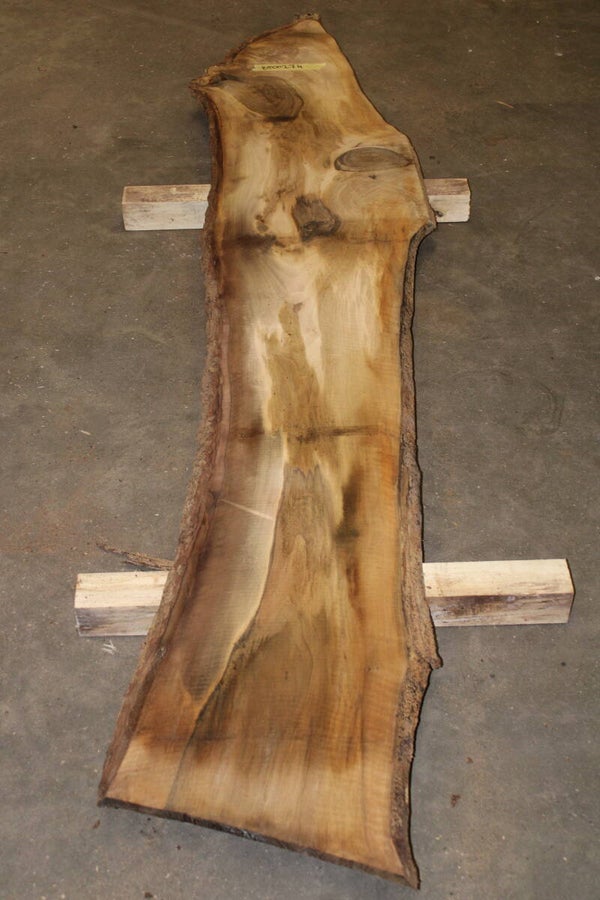 Boomstam plank Noten 274