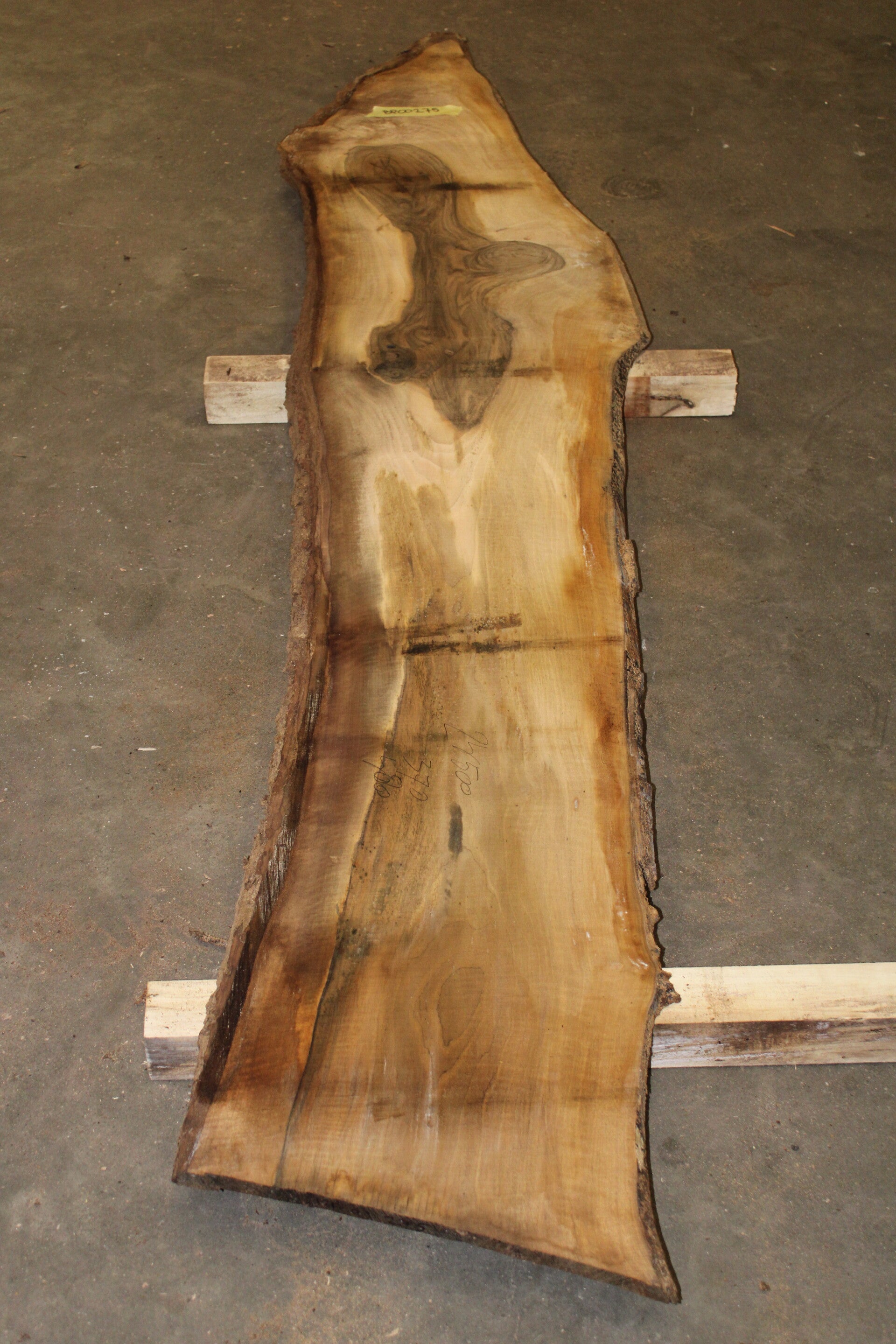 Boomstam plank Noten 275