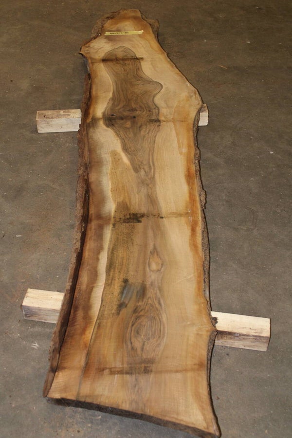 Boomstam plank Noten 276