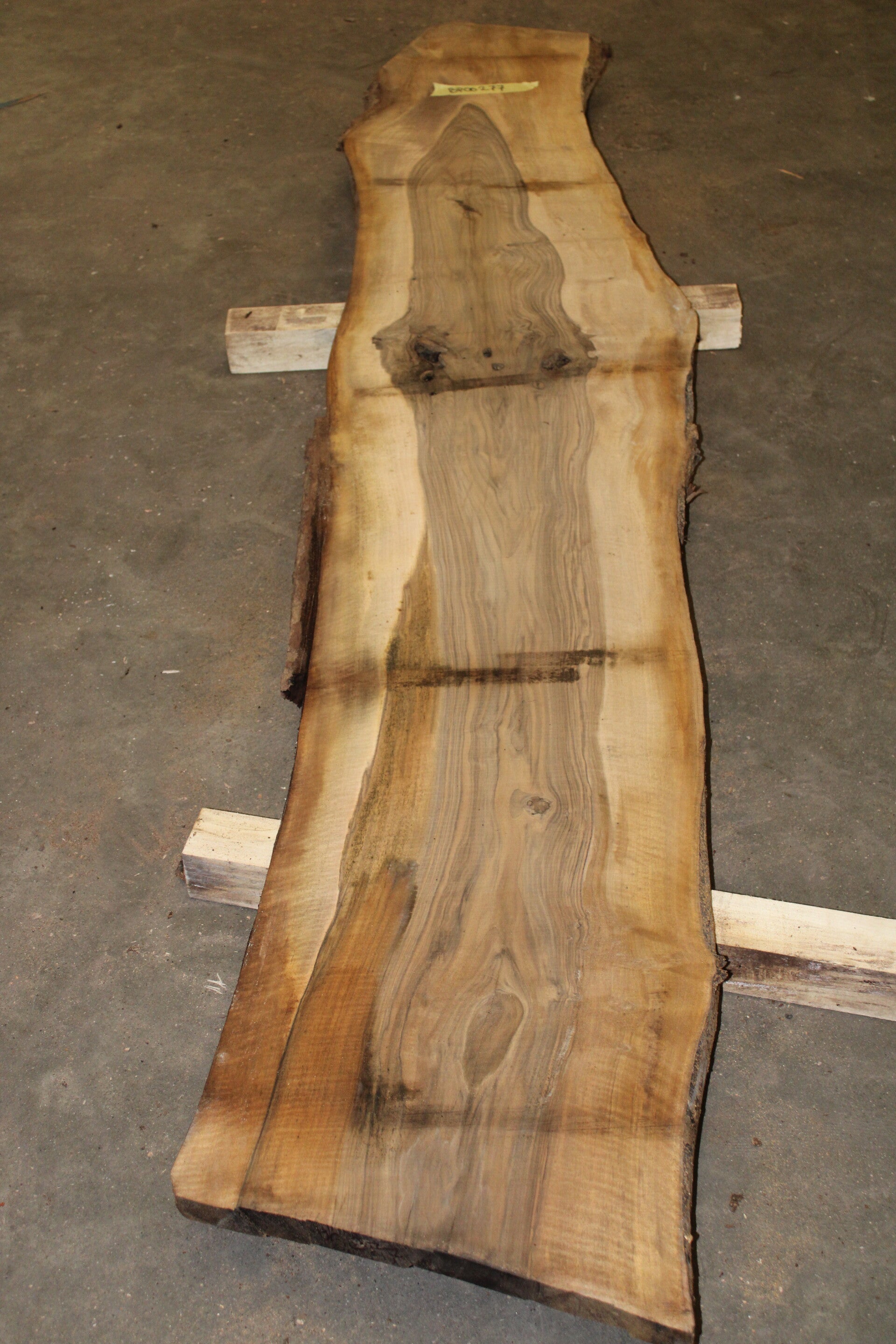 Boomstam plank Noten 277