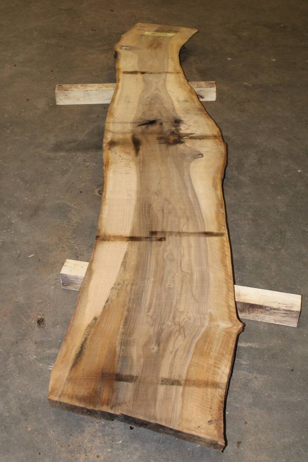 Boomstam plank Noten 279