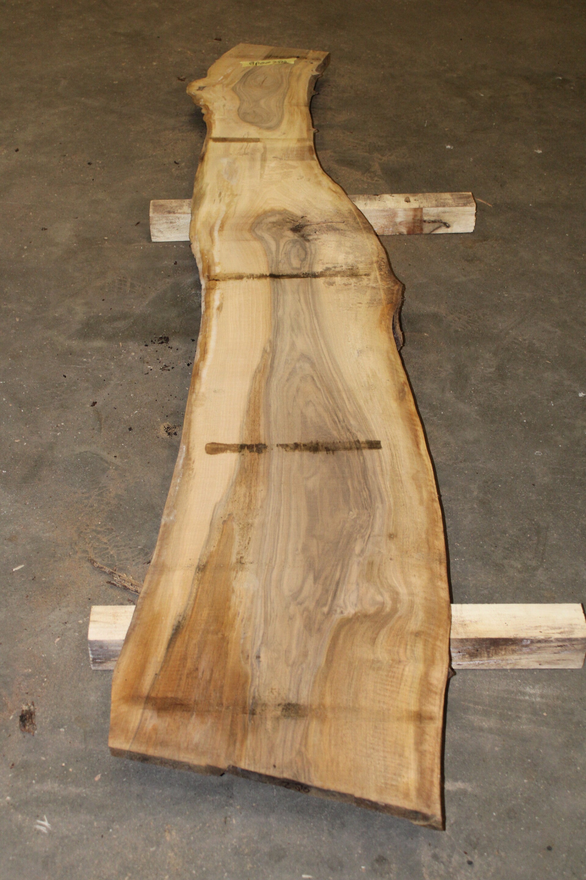 Boomstam plank Noten 280