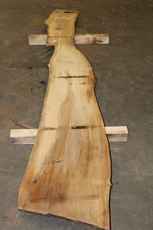 Boomstam plank Noten 281
