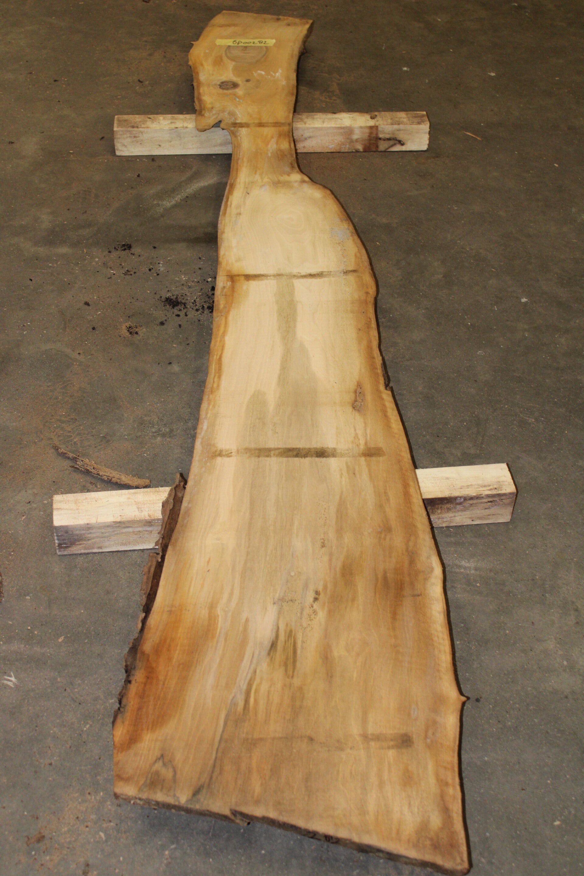 Boomstam plank Noten 282