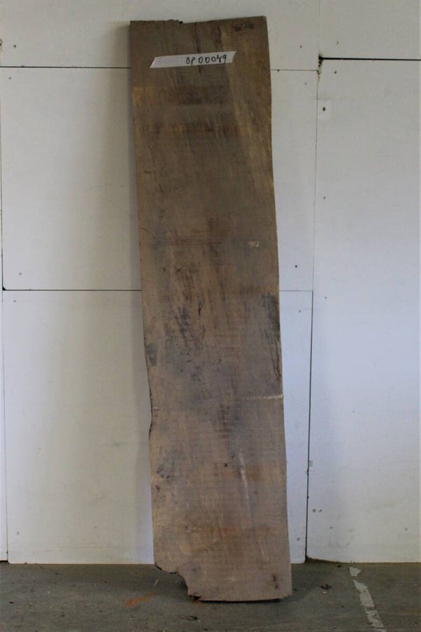 Boomstam plank Onbekend - Iep 49