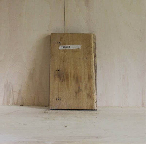 Boomstam plank Onbekend 115