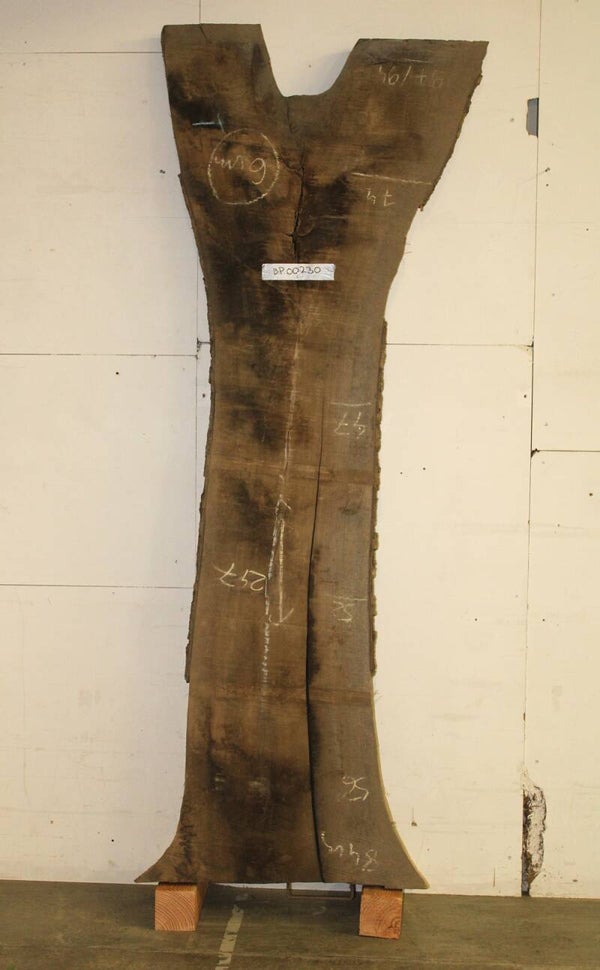 Boomstam plank Walnoot 230