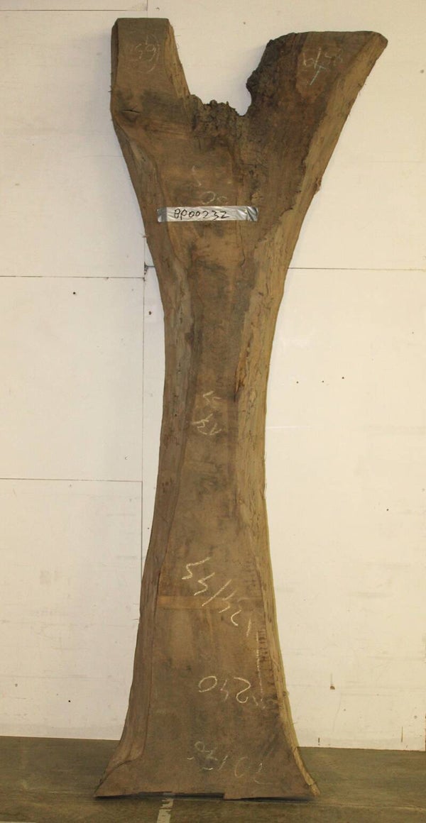 Boomstam plank Walnoot 232