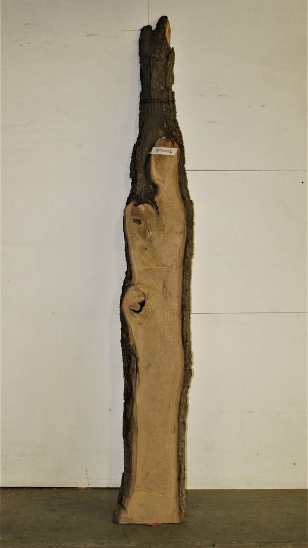 Boomstam plank Linde 01