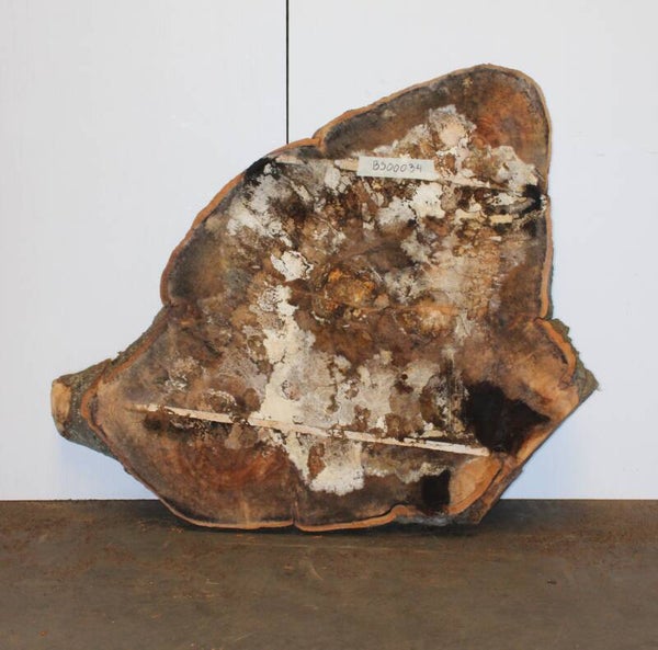 Boomstam schijf Beuk 34